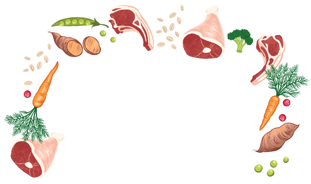 ingredients illustration